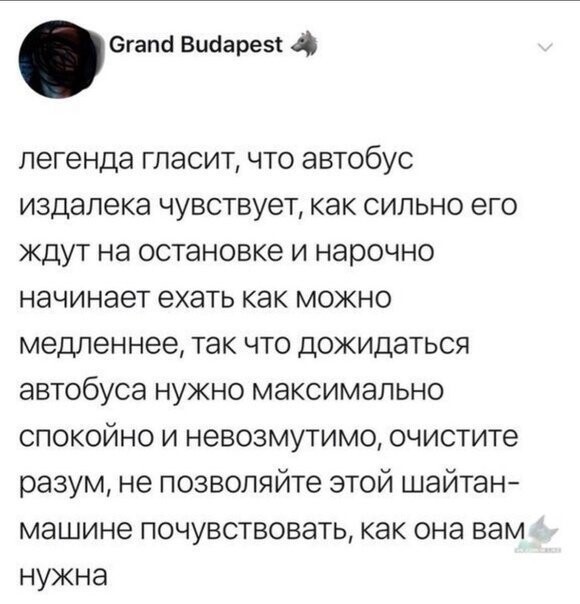 Прикольные и смешные картинки