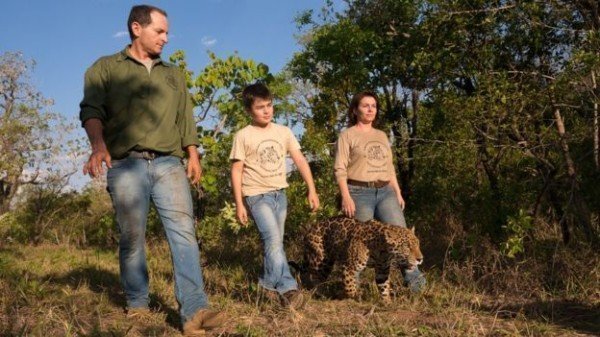 Тьяго — мальчик, живущий с ягуарами