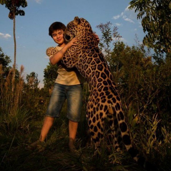 Тьяго — мальчик, живущий с ягуарами