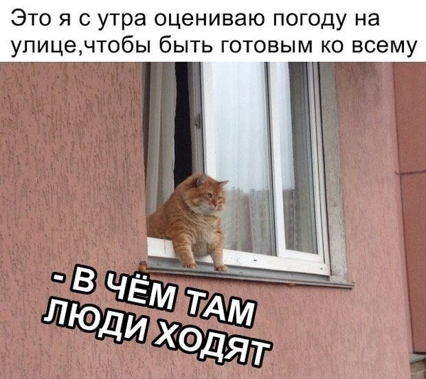 Намешалось