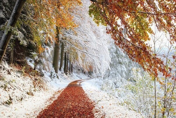 Тонкая грань между осенью и зимой