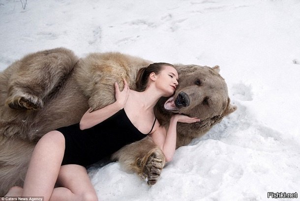 лежу одна среди медведей