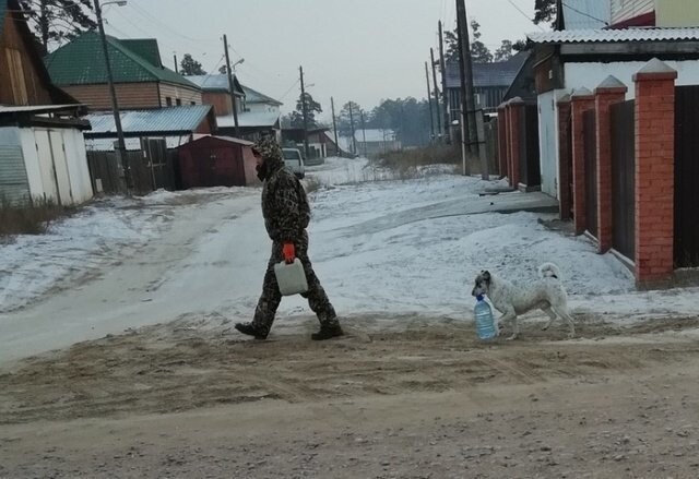 Намешалось от АРОН за 13 декабря 2018