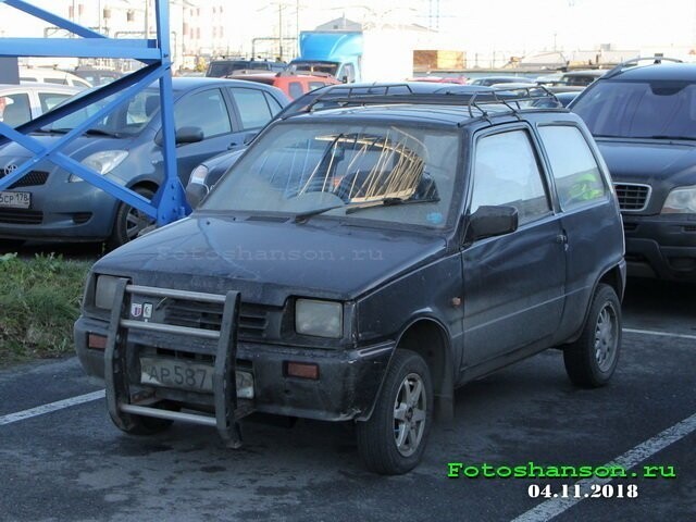 Автовсячина