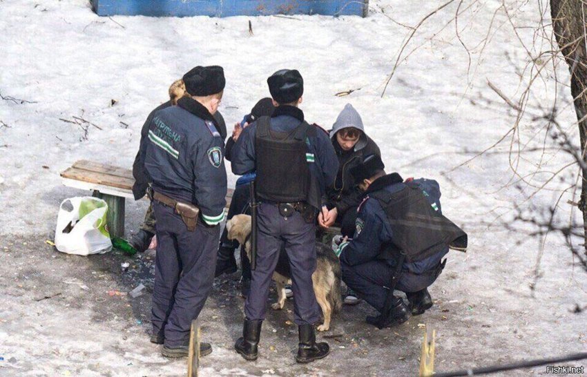 Жизнь лавочки