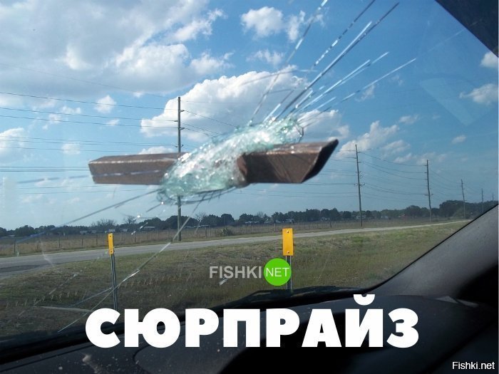 Сюрпрайз