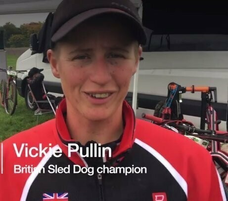 Чемпион Британии по езде на собаках Вики Пуллин ("Тянущий")
