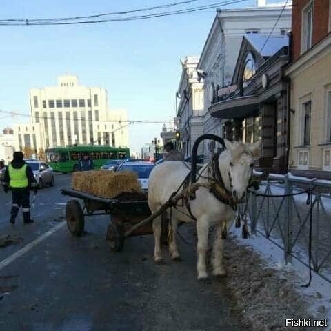 -Ваши документы, пожалуйста