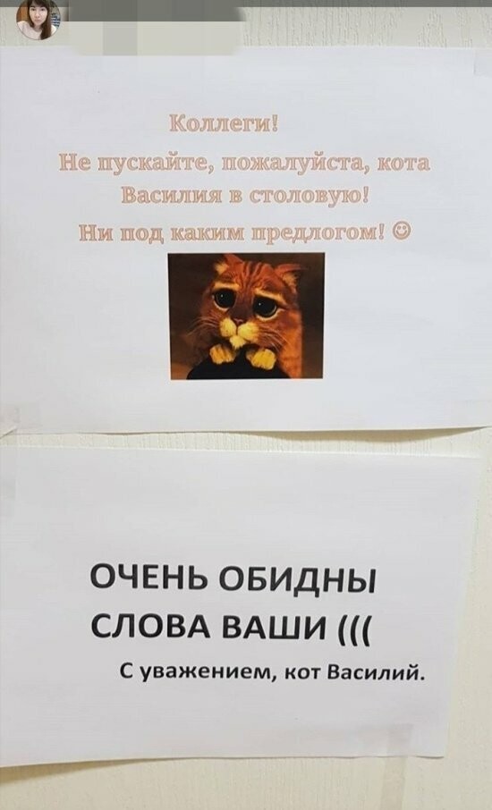 Намешалось