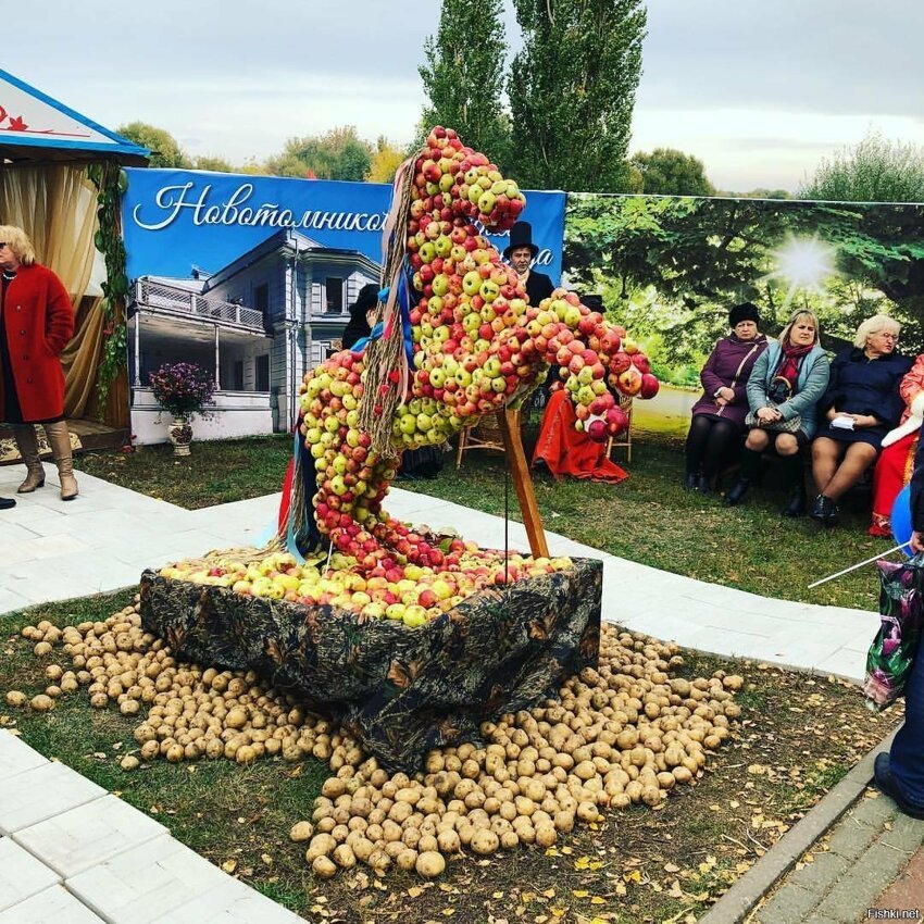 Кони в яблоках, кони разные