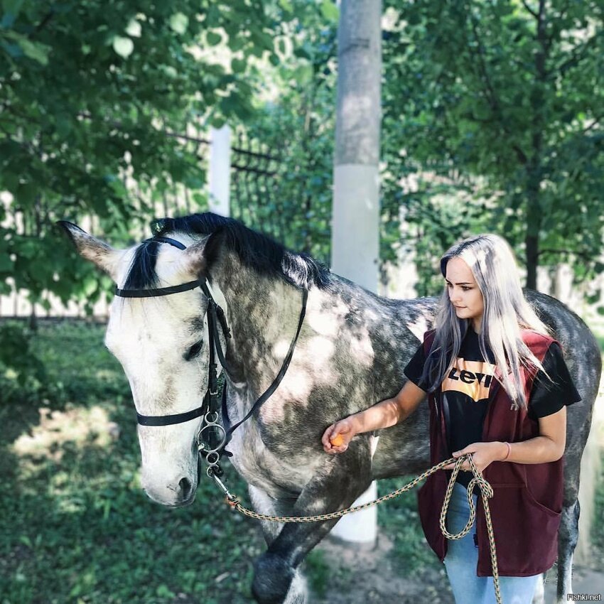 Кони в яблоках, кони разные