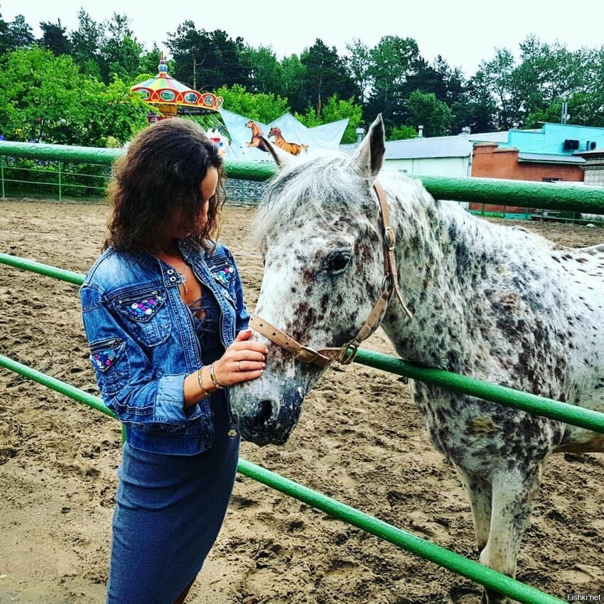 Кони в яблоках, кони разные