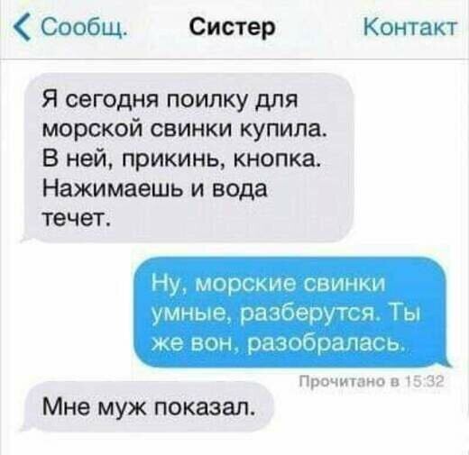 Прикольные и смешные картинки