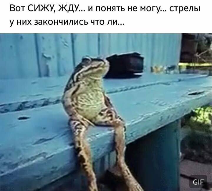 Сижу жду чуда картинки