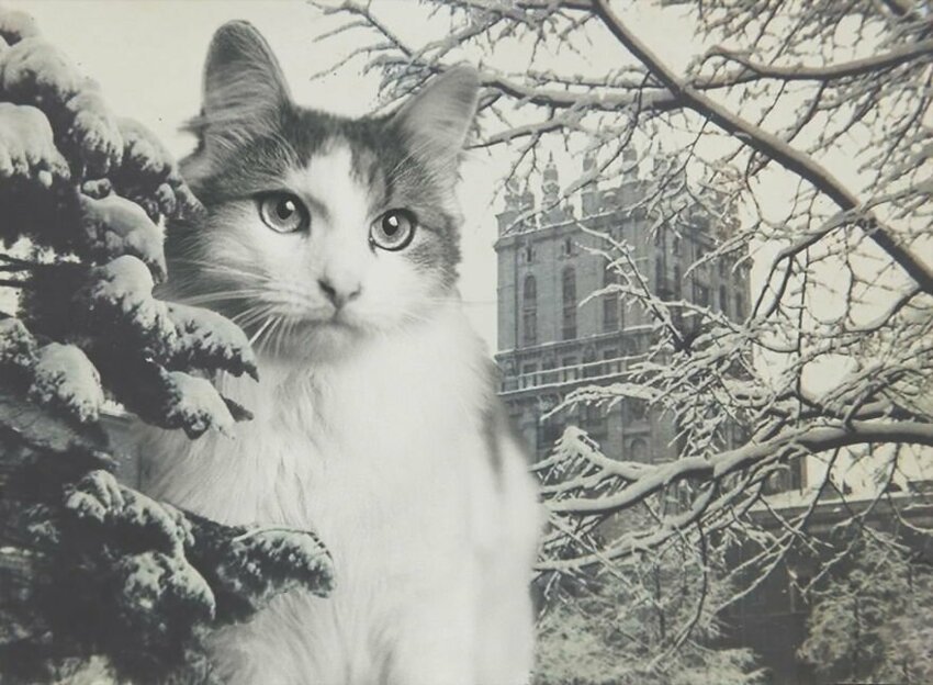 Советские новогодние ретро-кошки