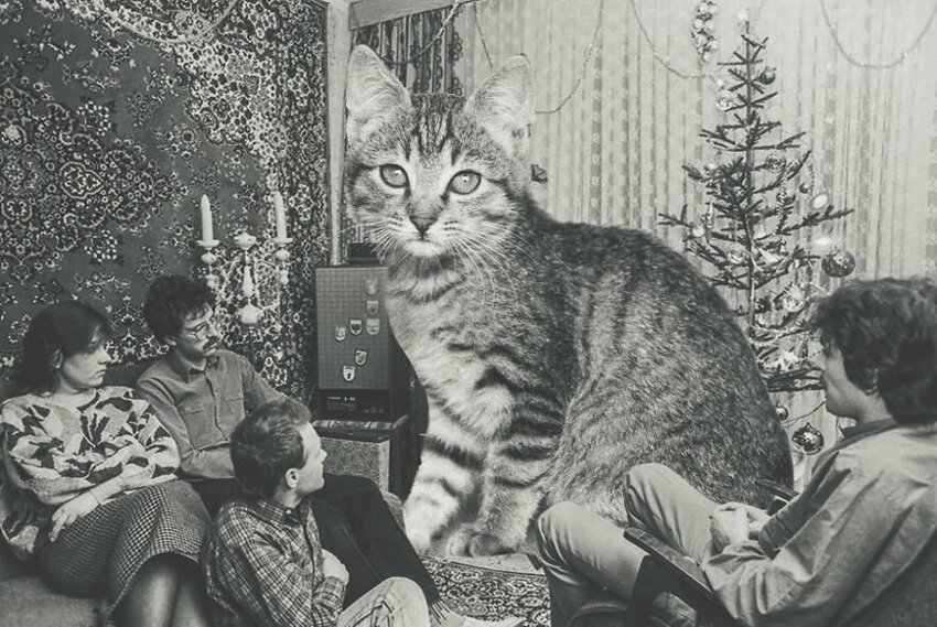 Советские новогодние ретро-кошки