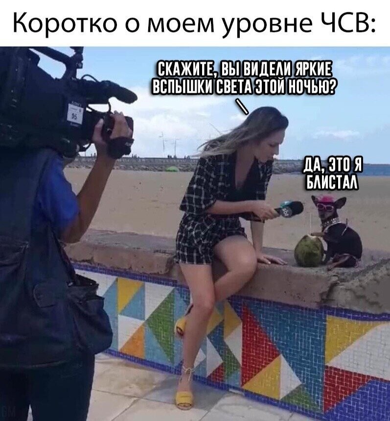 Прикольные и смешные картинки