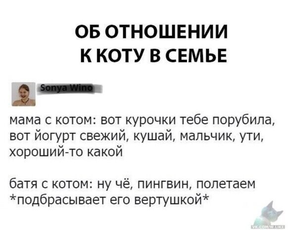 Прикольные и смешные картинки