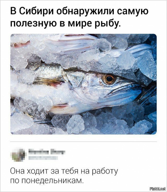 Бодрого утра всем 