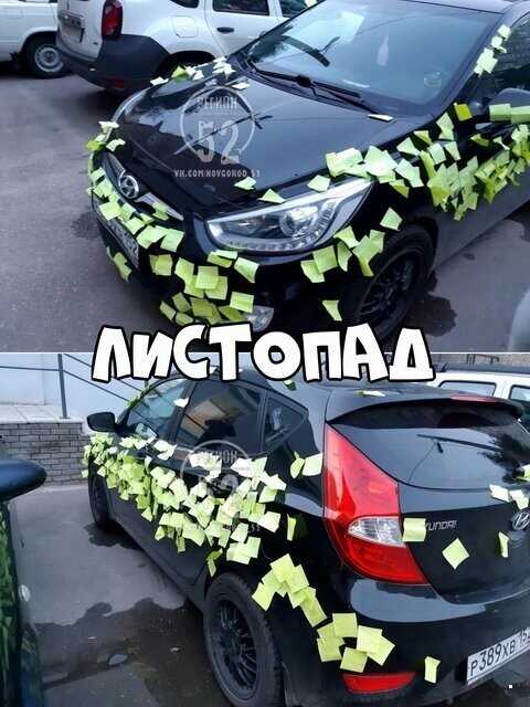 Автовсячина