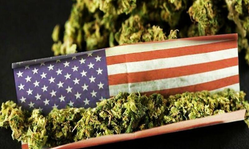 Зачем в США хотят легализовать марихуану?