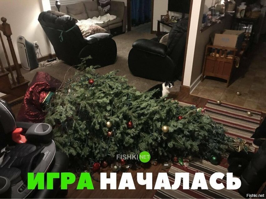 Игра началась