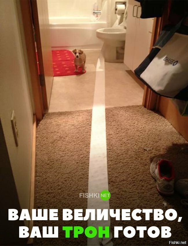 Ваш трон готов