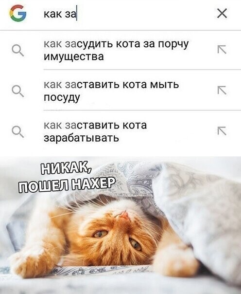 Прикольные и смешные картинки