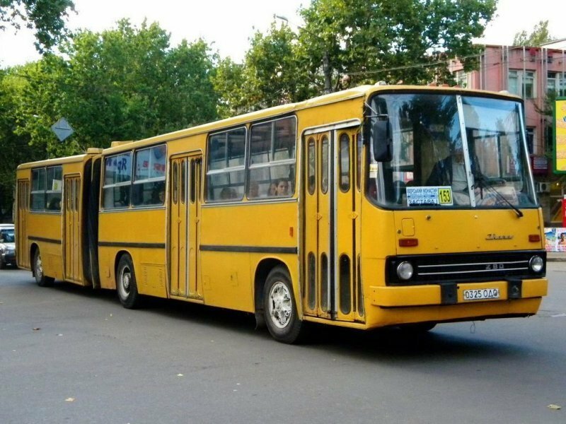 Супергармошка: многосекционный автобус Ikarus 293