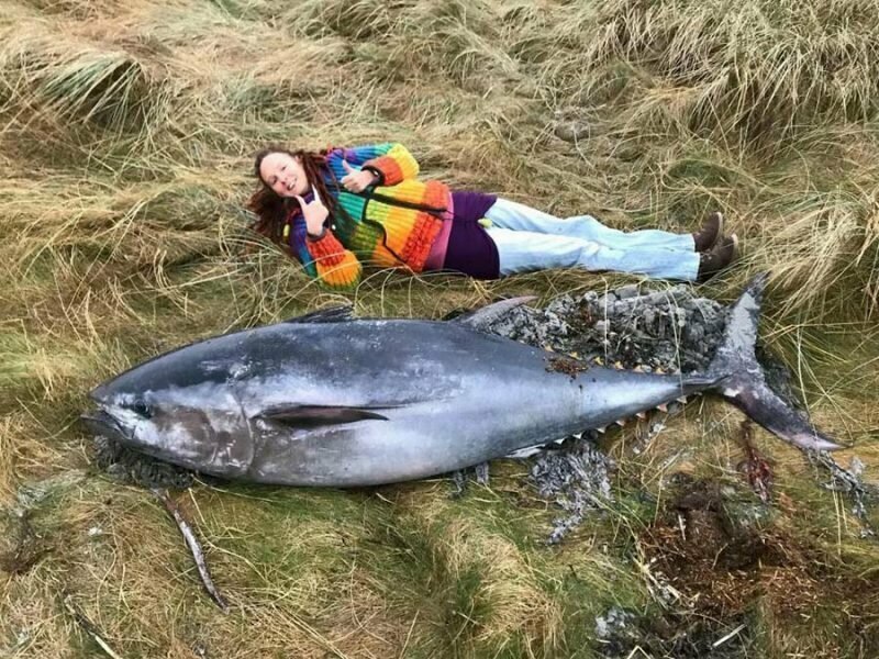 В Шотландии шторм выбросил на берег 2-метрового тунца