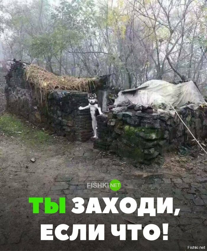 ТЫ заходи...