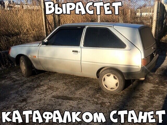 Автовсячина