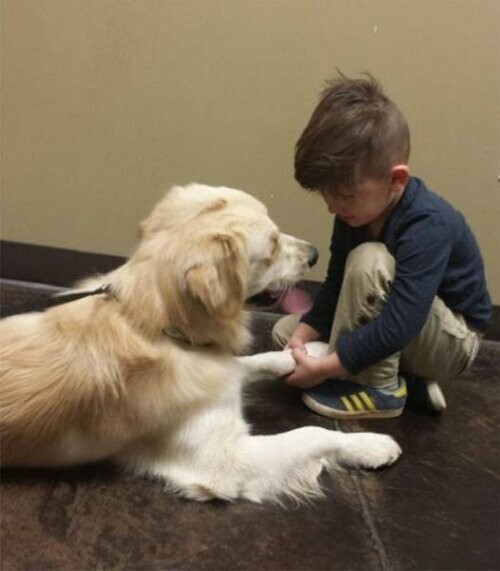 Собаки и дети  — лучшие друзья навеки!