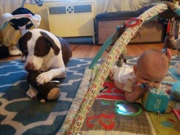 Собаки и дети  — лучшие друзья навеки!