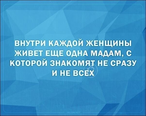 Смешные «Аткрытки» от Aion за 23 декабря 2018