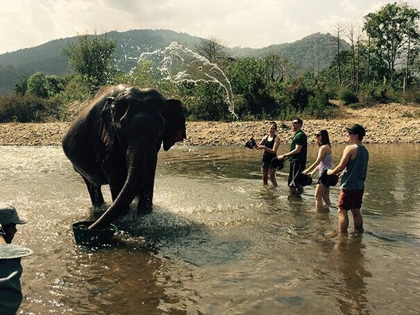 2. Вода, которой поливают слона, тоже выглядит как слон