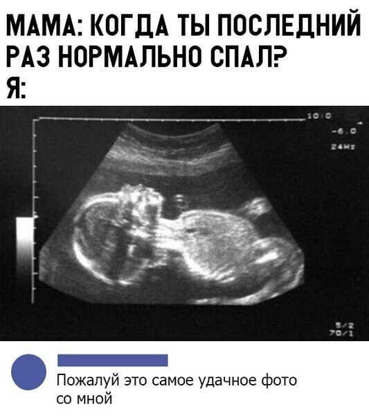 Прикольные и смешные картинки