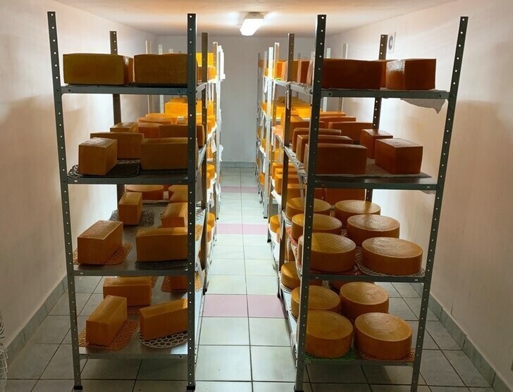 В Новгородской области ОАО «Ермолинское» открыло производство твердых и полутвердых сыров