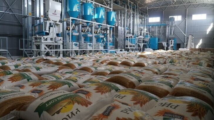 В Дагестане запустили первые рисоперерабатывающие заводы