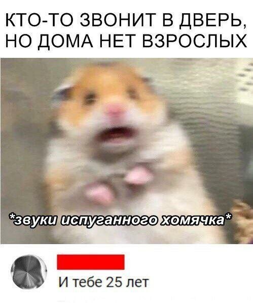 Прикольные и смешные картинки