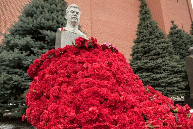 Две гвоздики И.В. Сталину.