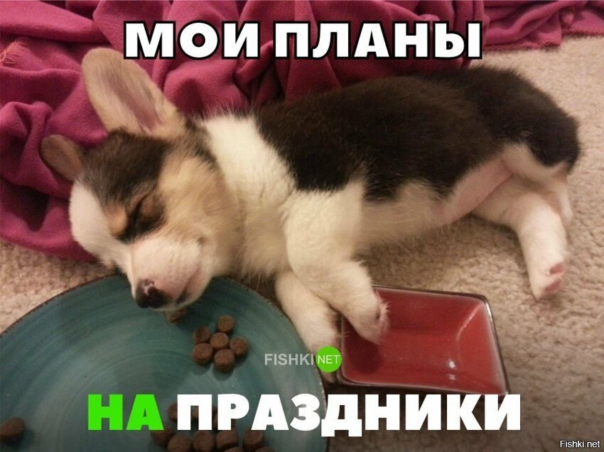 Мои планы на праздники