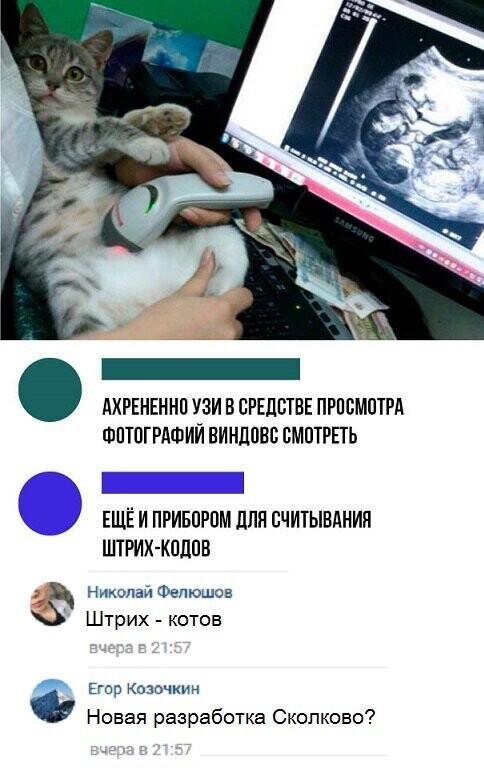 Прикольные и смешные картинки