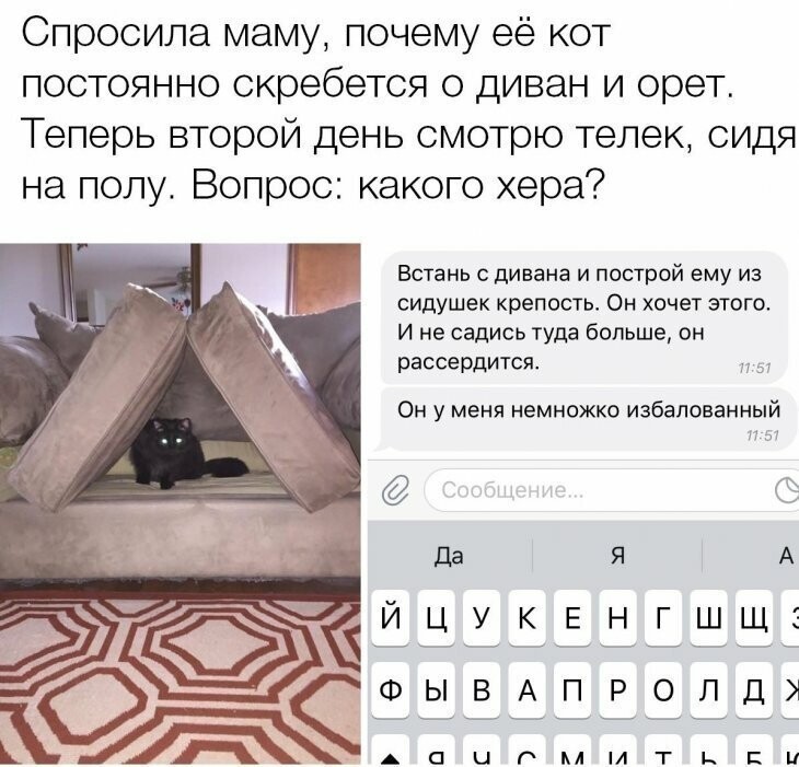 Прикольные и смешные картинки