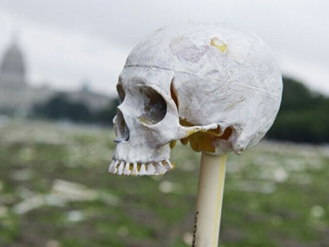 «Череп и кости» (англ. Skull & Bones) — старейшее тайное общество студентов Йельского университета.