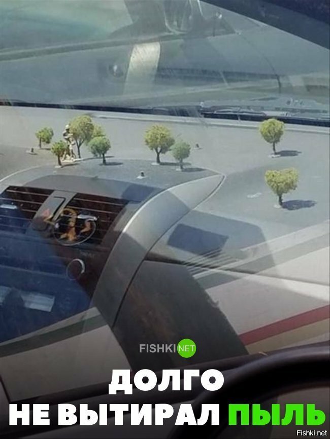 Долго не вытирал пыль