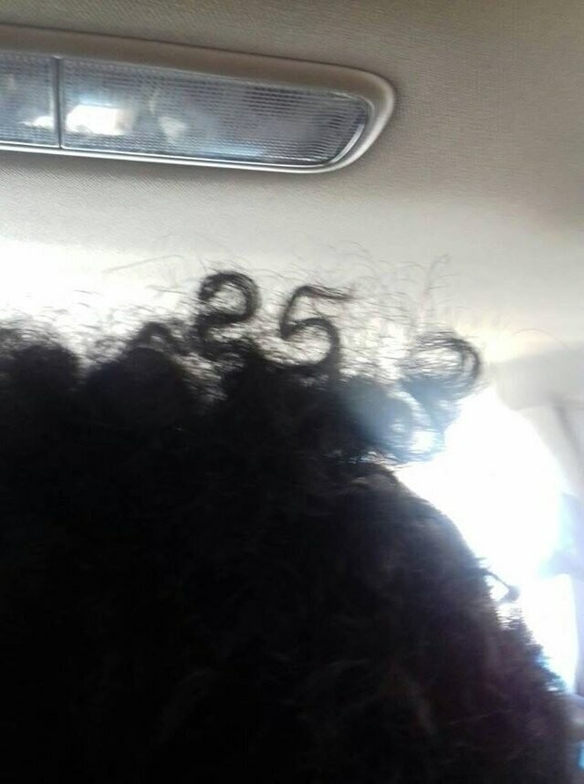 Волосы таксиста образуют 25