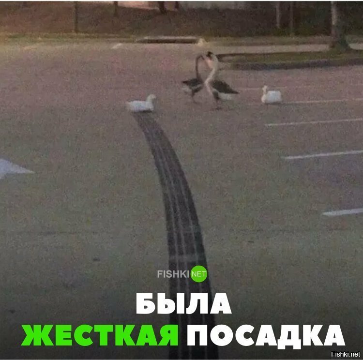 Жёсткая посадка