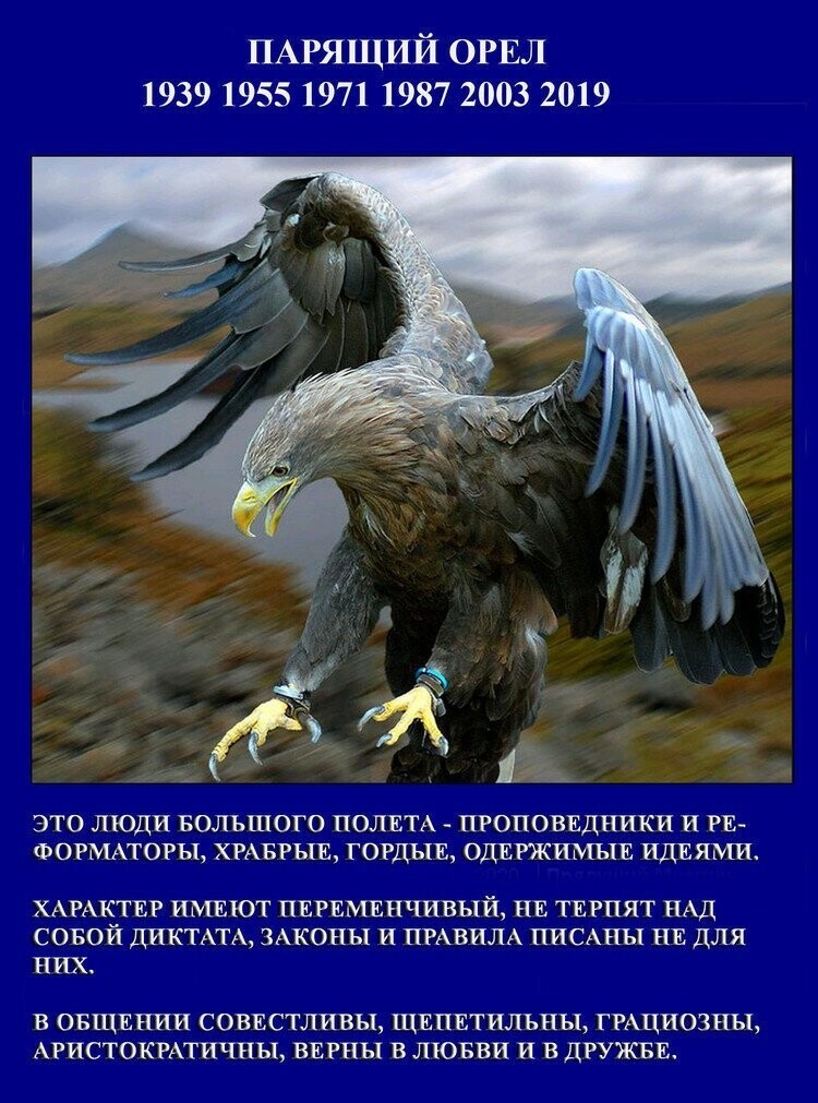 Наступающий 2019 год — это год парящего орла по славянскому календарю