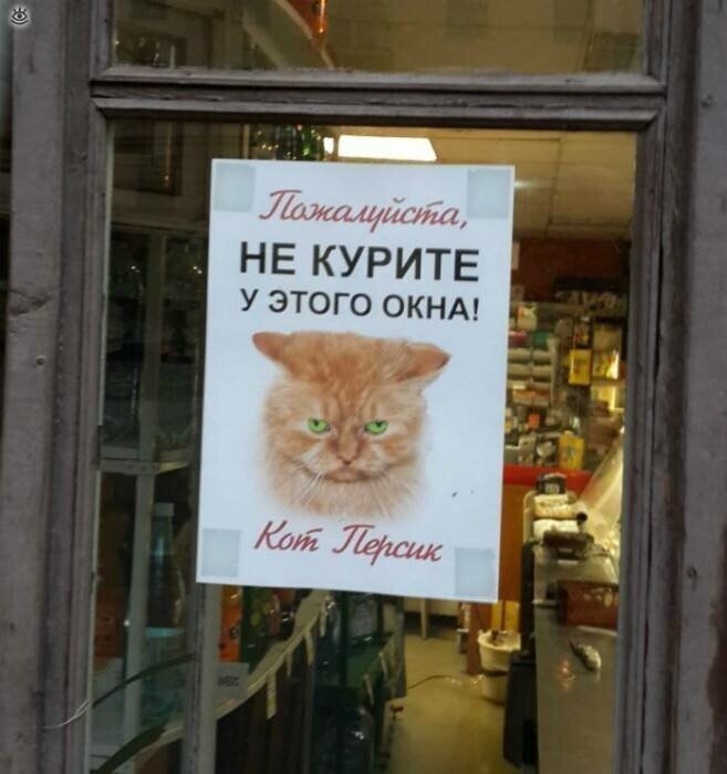 Котовсячина